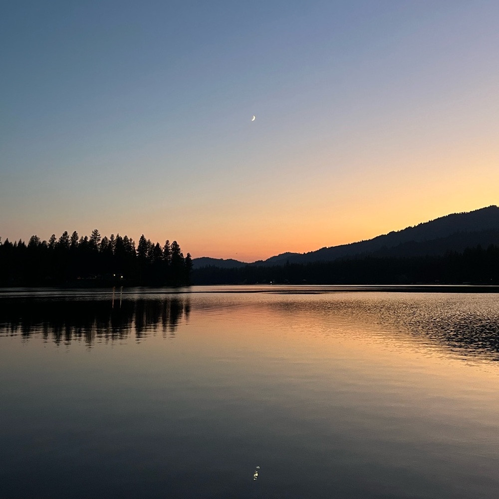 Meet your Posher, Maddie